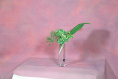 113_resize