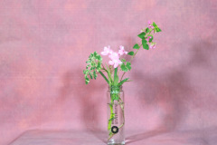 116_resize