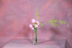 119_resize