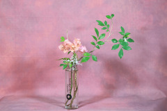 139_resize