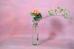 142_resize