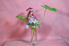 147_resize