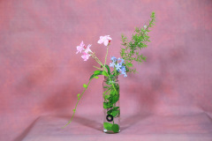 153_resize
