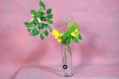 155_resize