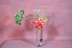 157_resize