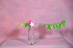 159_resize