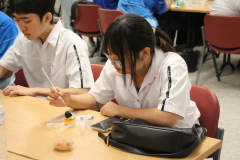 248_resize