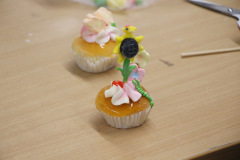 271_resize