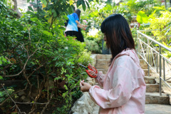 61_resize