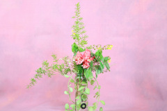 94_resize