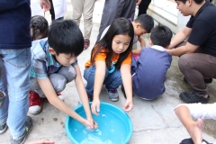 IMG_3896_resize