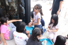 IMG_3906_resize