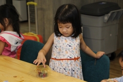 IMG_4074_resize