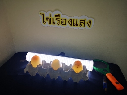 Final Amazing Eggs​ 3562_190503_0026