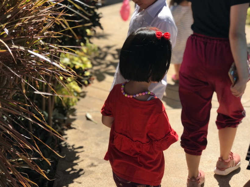 ตามล่าหา ข.ไข่_190503_0009_resize