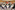 AP7A5624_resize