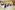 AP7A5646_resize