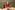 AP7A3237_resize