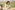 AP7A3247_resize