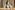 AP7A3252_resize