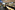AP7A3294_resize
