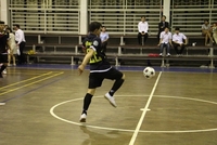 IMG_2651_resize