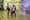 IMG_2014_resize