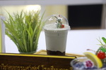AP7A4817_resize