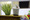 AP7A4817_resize