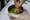 AP7A4904_resize