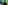 DSCF7041