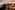AP7A8350_resize