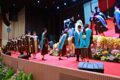 207_resize