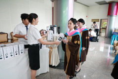 293_resize