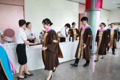 295_resize