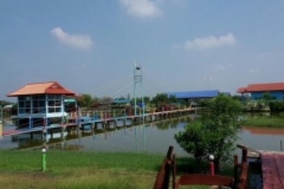 จิตอาสาปลูกป่าชายเลน_171031_0007_resize