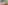 DSCF2096