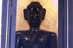 209A1525