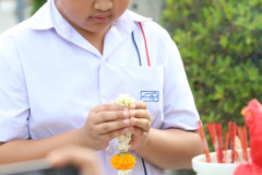 644490204_1227539519555039_274999078105600462_n