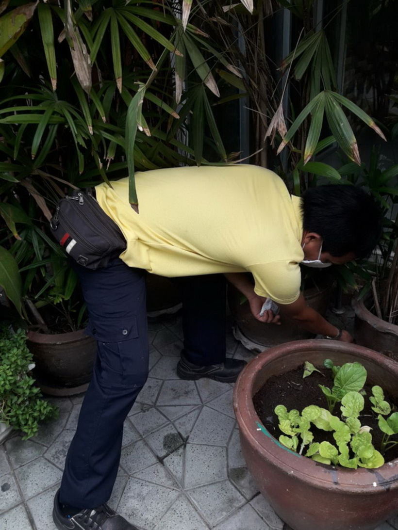 14529_resize