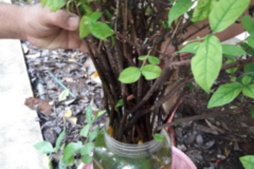 14505_resize