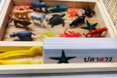 71845100_521025522023872_2915491265871085568_n