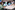 AP7A1992_resize