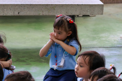 230_resize
