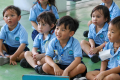 233_resize