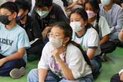 243_resize