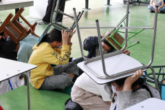 253_resize
