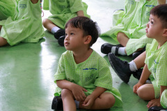 261_resize