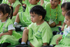 262_resize
