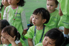 263_resize